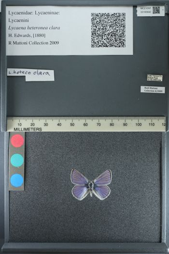 Media type: image;   Entomology 183642